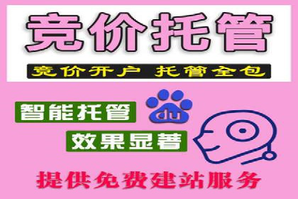 百度推广费用与广告定位精准度的关系案例研究